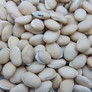 白扁豆今日價(jià)格