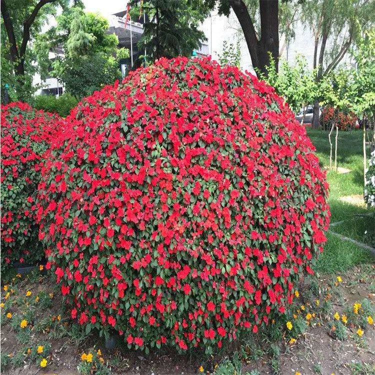 花球造型绿化花球园林景观铁艺花架青州花柱价格立体景观