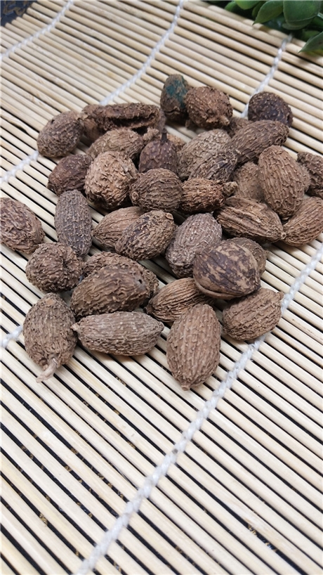 砂仁的功效    供应海南砂仁