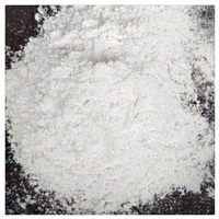 海滨供应钙粉 四川工业级重钙粉填充料用白云石粉 轻质碳酸钙