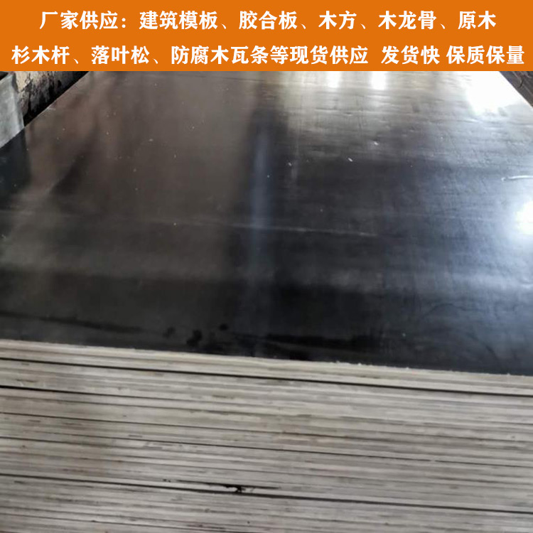 天津建筑清水模板廠家 防寒建筑模板竹膠板價格 建筑模板現貨
