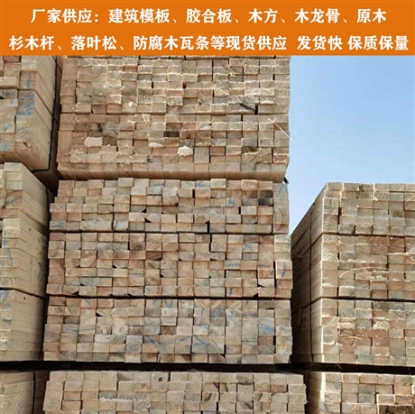 批發建筑木方廠家 天津防寒建筑木方批發 建筑木方廠家