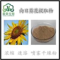 向日葵花粉 向日葵花提取物10:1向日葵花多肽