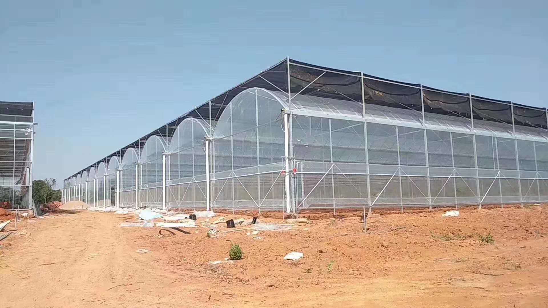 薄膜联栋温室大棚