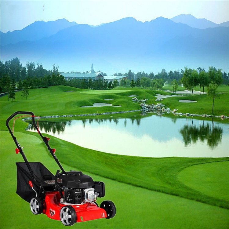 山东泰安汽油割草机厂家直销 20寸汽油割草机 本田割草机 林业局