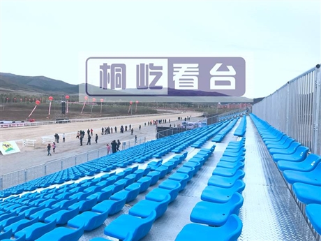 特斯拉巡展观众看台销售