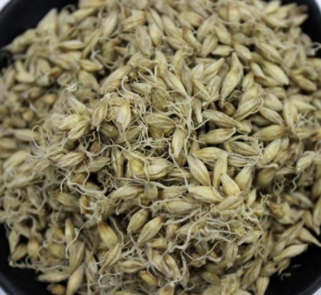 【康美中药城供应炒麦芽     炒麦芽的功效】价格,厂家,农作物种子种苗