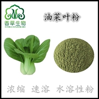 油菜叶粉97% 油菜叶原粉粉 破壁油菜花粉 油菜籽提取物