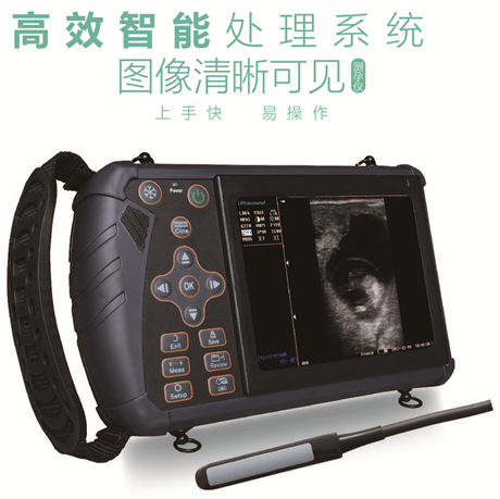 畜用b超机,掌上畜用b超机在线报价,江苏便携式畜用b超机厂家