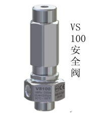 VS 100-AISI 316意大利进口PA安全阀