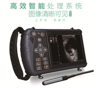 牛羊用b超 牛羊b超检查设备 牛羊b超检测仪 牛羊b超机价钱