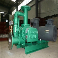 新疆煤气增压泵 甘肃天然气管道增压泵3KW