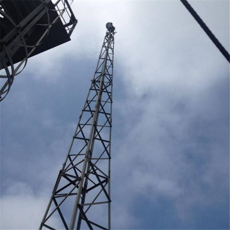 避雷塔厂家直供变电站避雷针塔通讯避雷塔物美价廉