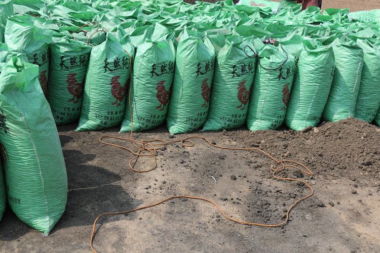 干鸡粪大块拳头大小发酵晒干鸡粪块有机肥大棚种植肥底