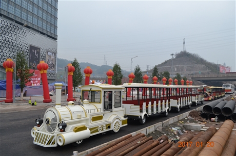 观光小火车 电动小火车  旅游观光火车 动力强 品质好