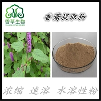 香薷提取物浓缩粉80目 香茹提取物浓缩粉80目 香草提取物