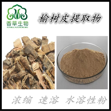 榆树皮提取物浸膏 榆树皮粉100目 榆树叶提取物 榆钱粉