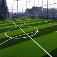 呼和浩特庭院人造草坪 人造草坪草皮 草坪草皮厂家