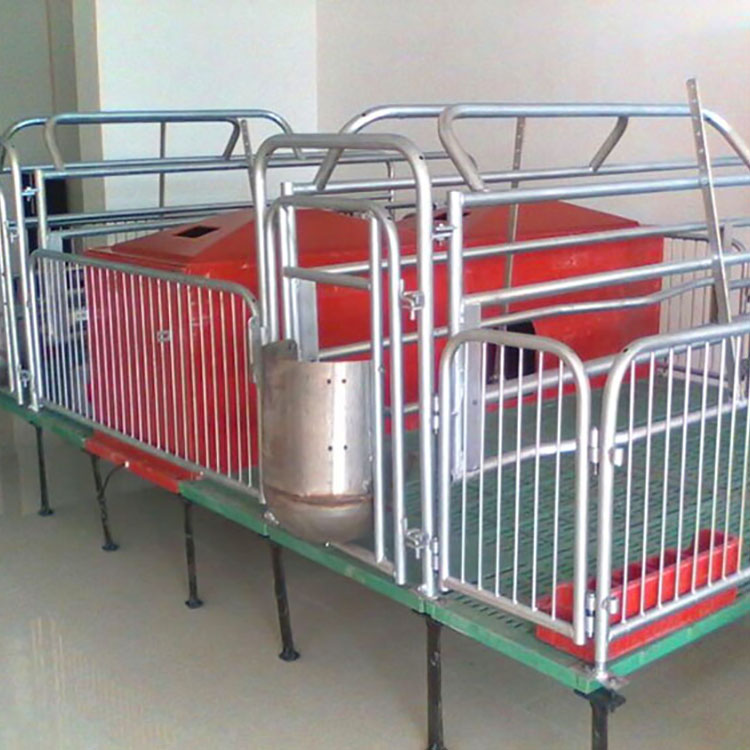 母猪产床设备定位栏落地床单体全保育漏粪板水泥板复合式产床