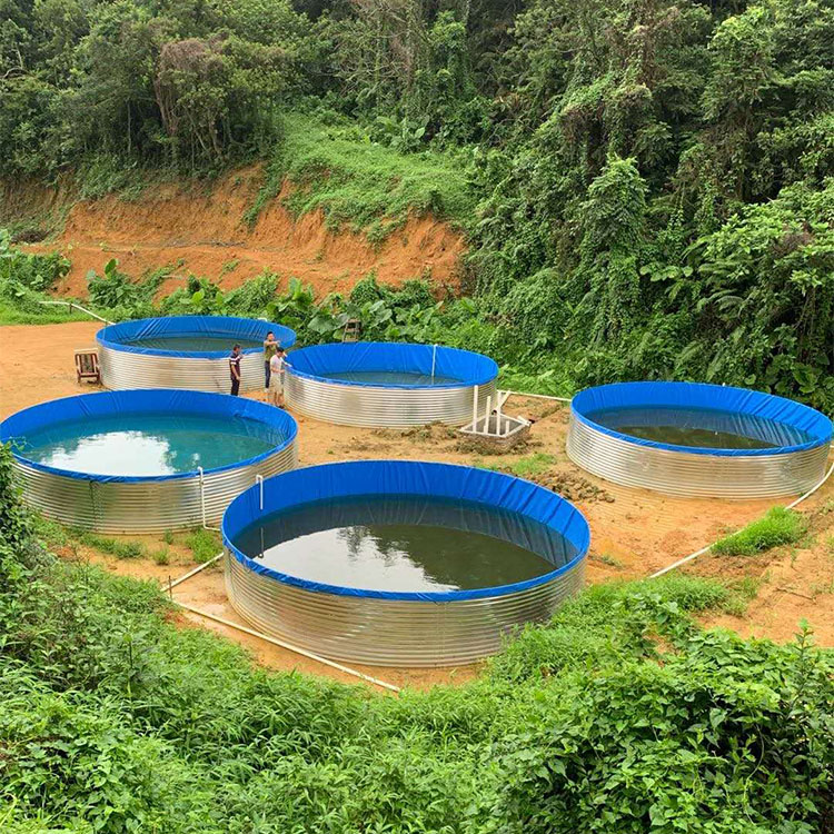 圆形高密度加厚镀锌板养殖池养鱼养虾帆布水池鱼池帆布池