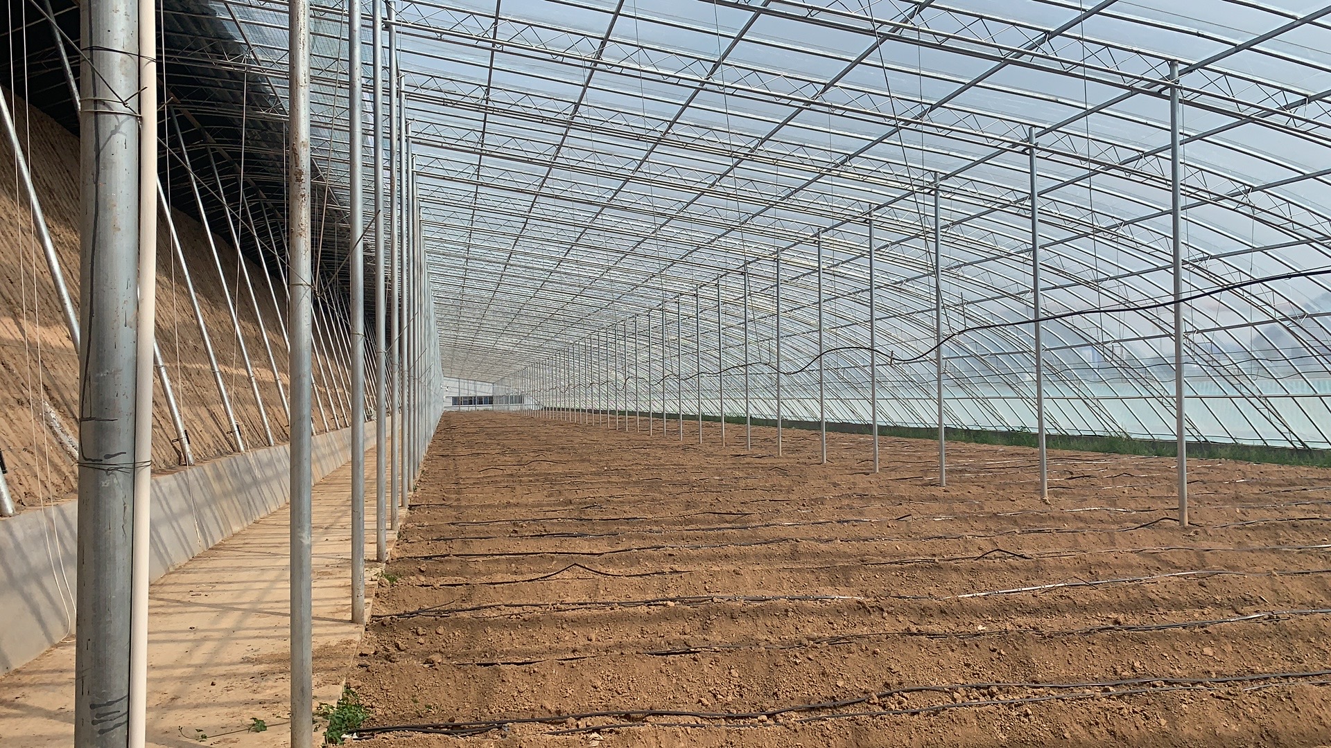 寿光润宏全钢架砖墙体日光温室