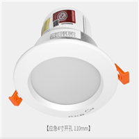 佛山照明F-ZLZD-E9W-T4消防应急LED筒灯