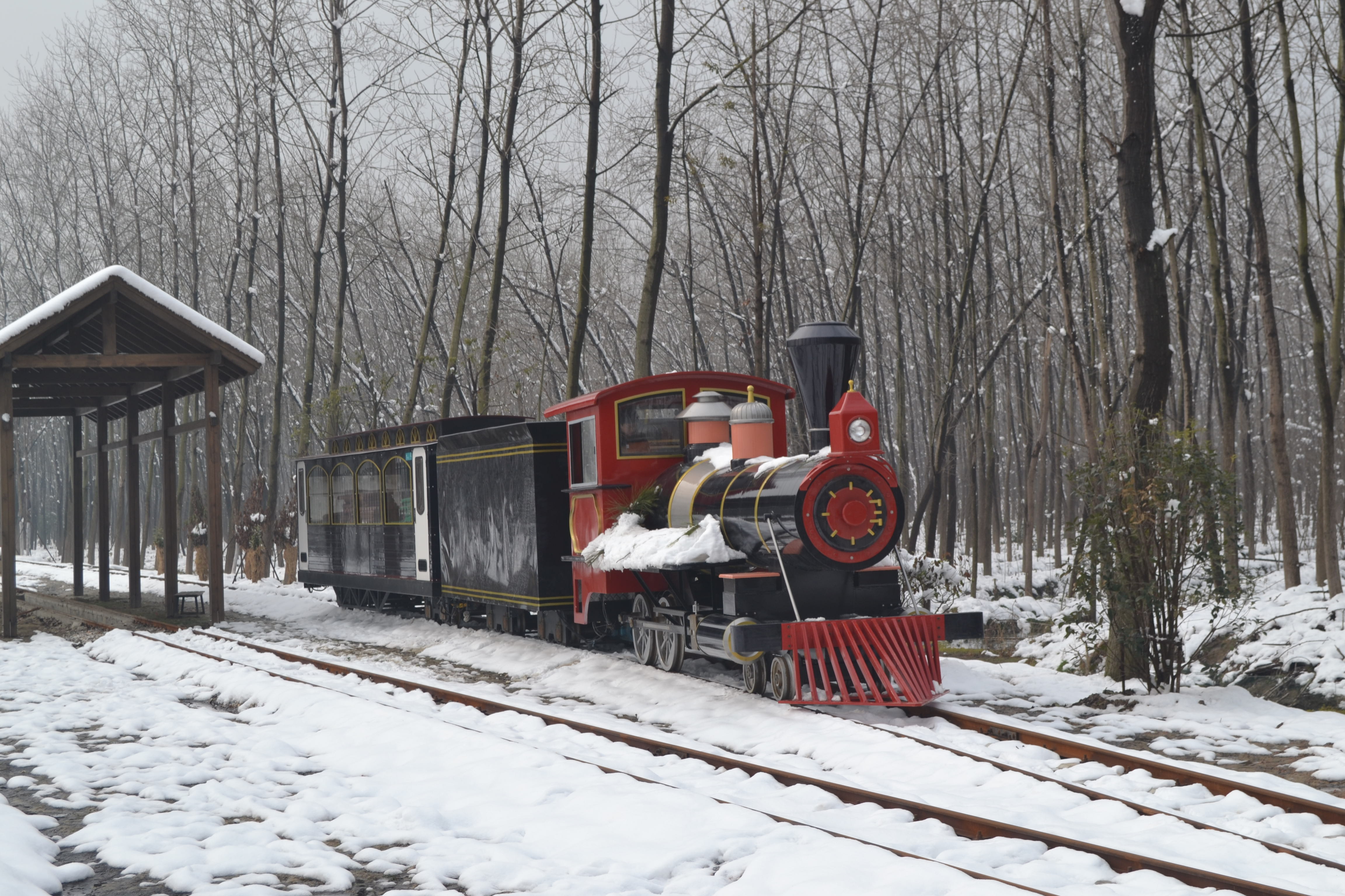 游乐场用小火车 电动小火车 单轨观光火车