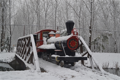 现代火车  架空小火车  游乐场用小火车