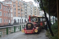 迪士尼观光小火车 无轨小火车 陆地小火车