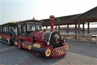 网红观光小火车 公园小火车  跨坐式小火车