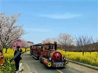 迷你蒸汽轨道火车   观光火车   颜色游乐场用小火车