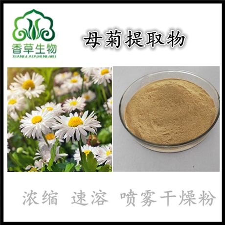 母菊提取物浓缩粉  洋甘菊提取物黄酮 菊花提取物