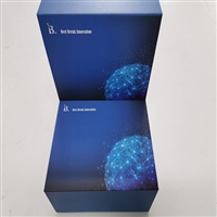 白蛋白分析试剂盒