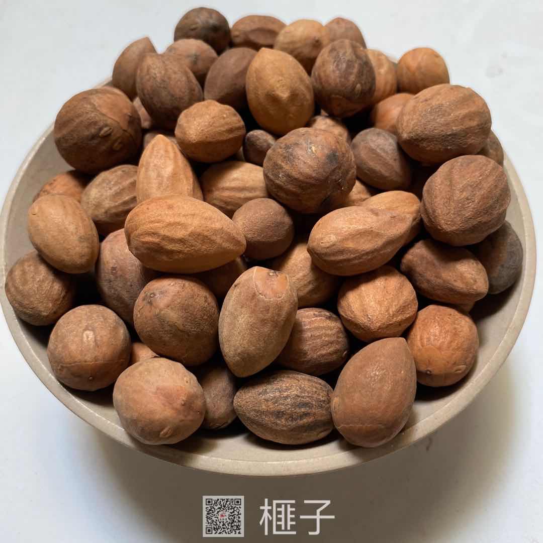 供应榧子榧子榧实有卖