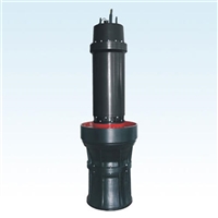 潜水轴流泵 低噪音 安全可靠运行稳定 轴流泵