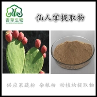 仙人掌提取物速溶粉 化妆品原料 仙人掌浓缩粉细粉 仙人掌粉