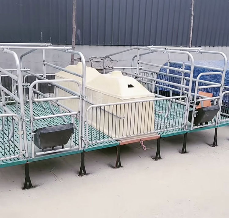 母猪产床四川母猪落地式产床全复合漏粪板加厚钢板食槽威旺
