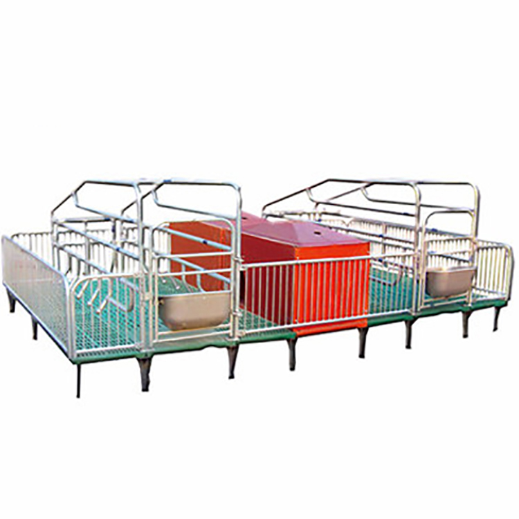 产保一体母猪产床双体母猪产床内江发货猪用双体产床威旺畜牧