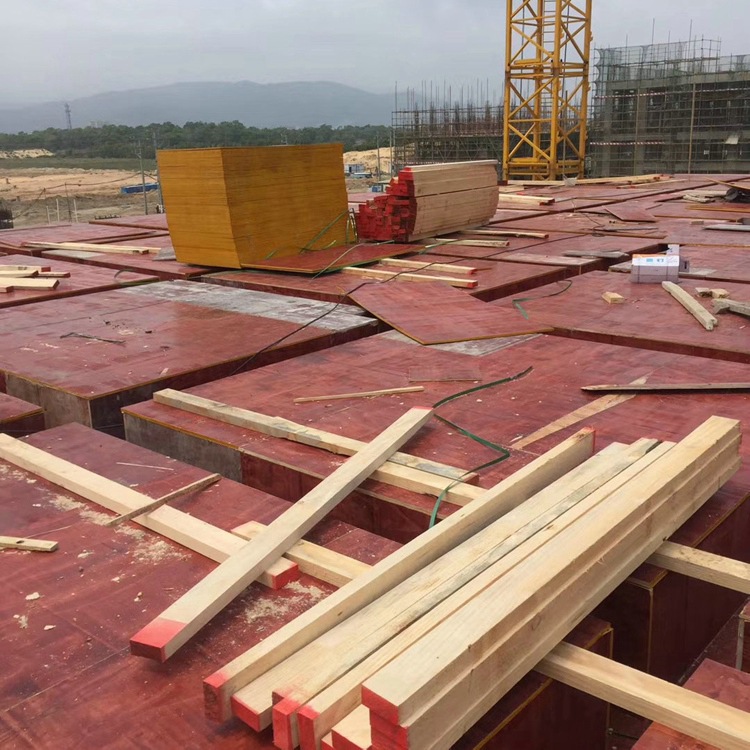 茂名建筑模板 清水模板 建筑模板工厂