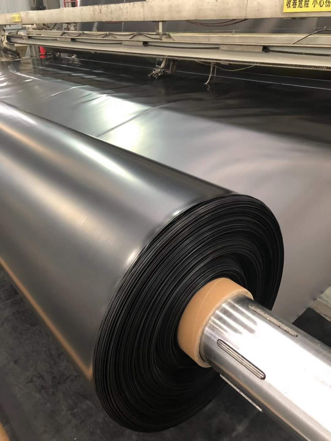 山东防渗土工膜 防渗膜