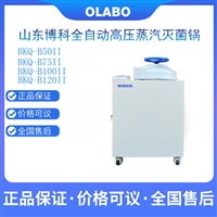 立式高压蒸汽灭菌器 BKQ-B50II博科全自动 高压灭菌器