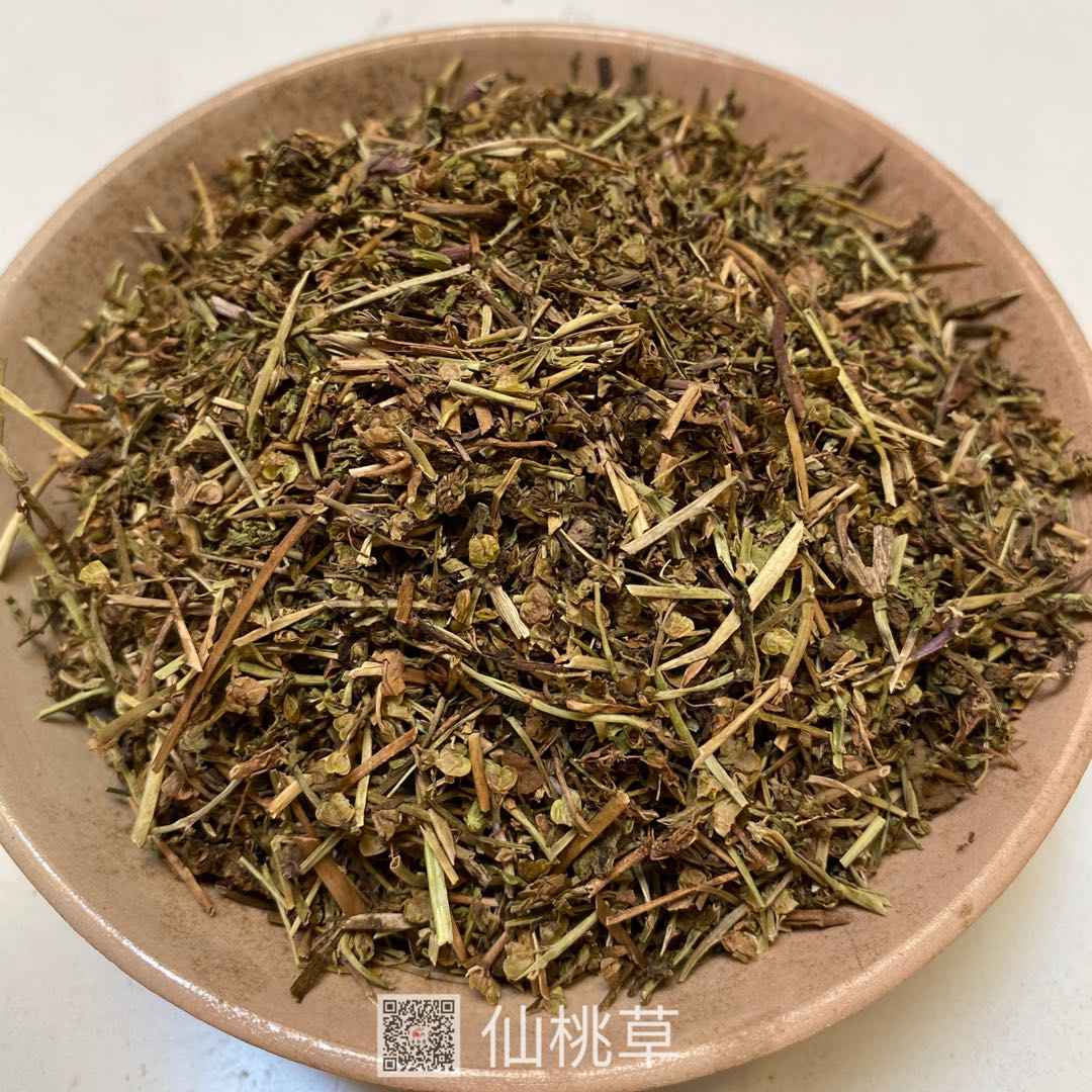 供应仙桃草仙桃草产地直销