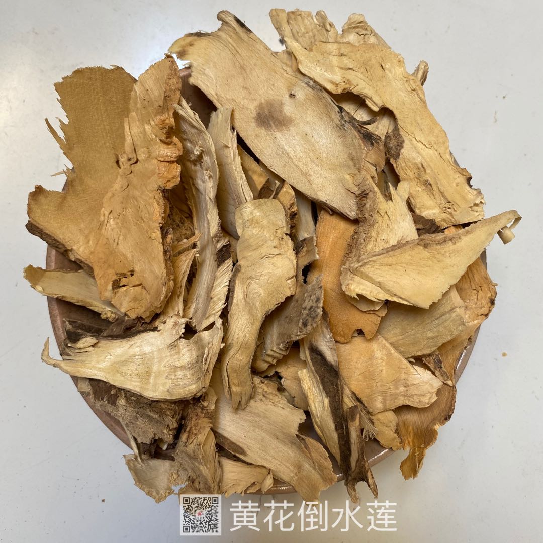 供应黄花倒水莲黄花远志有卖