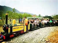 观光小火车   旅游观光火车   柴油小火车