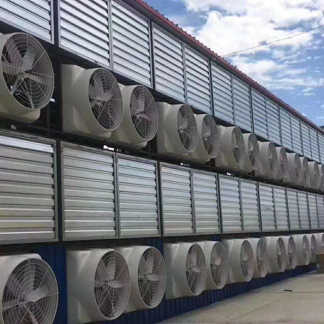 厂家供应负压风机畜牧养殖 大棚通风 工厂换气