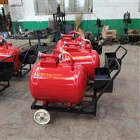 石油化工泡沫灭火装置 PY系列半固定泡沫罐厂家