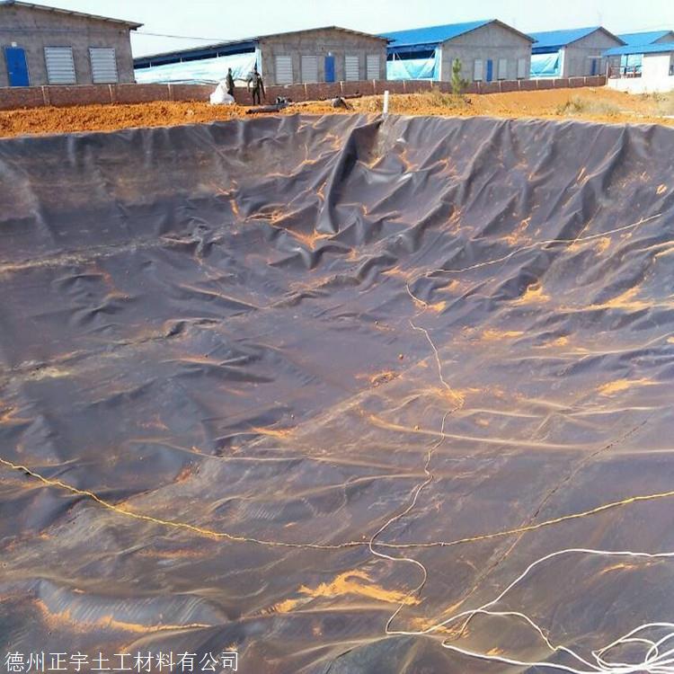 北京1mm糙面土工膜