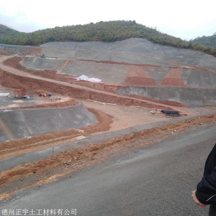 北京1mm糙面土工膜