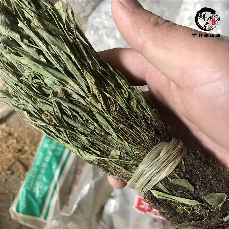 马灯草批发马蹬草供应