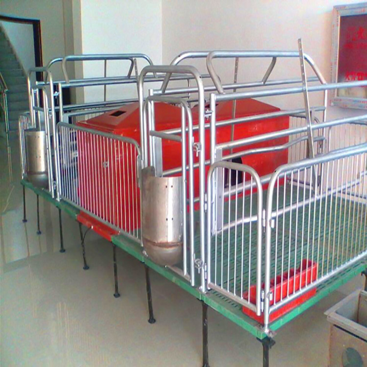 母猪产床老母猪产床产保一体两用落地式分娩床全国发货威旺